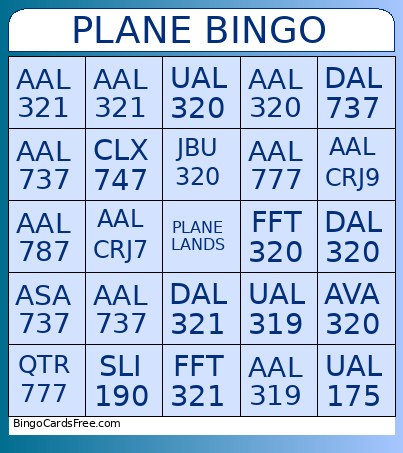 Plane Bingo Card