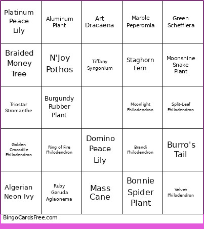 Plant Bingo Card