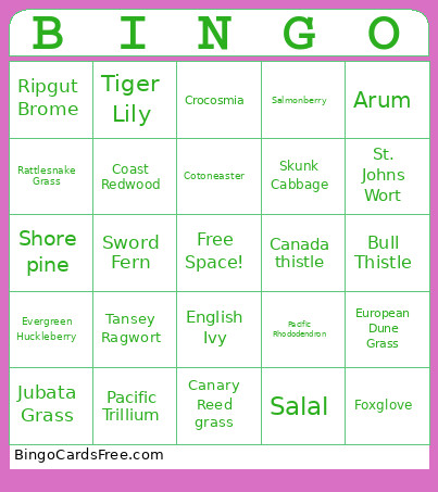 Plants Bingo Card