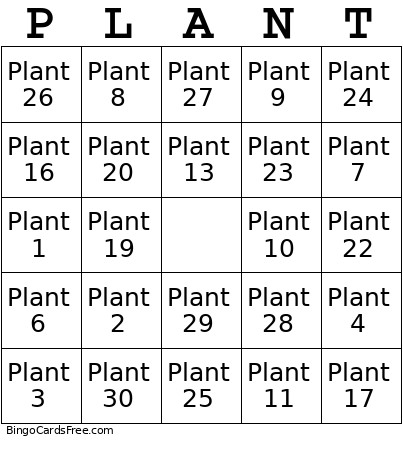 PLANTS Bingo Card