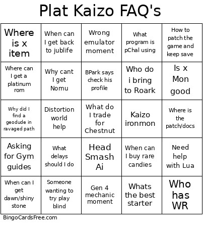 Plat Kaizo FAQ's Bingo Card