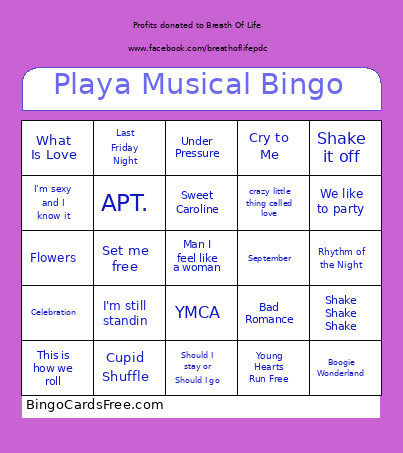 Playa Musical Bingo Card