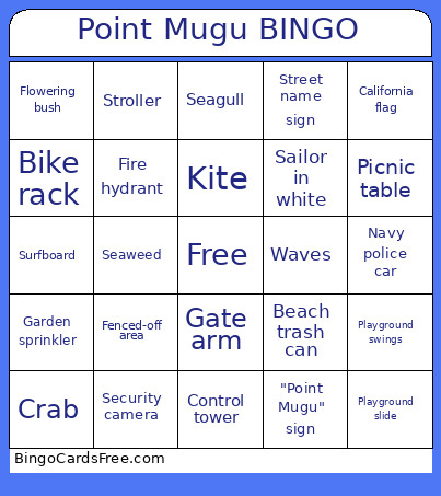 Point Mugu Bingo Card