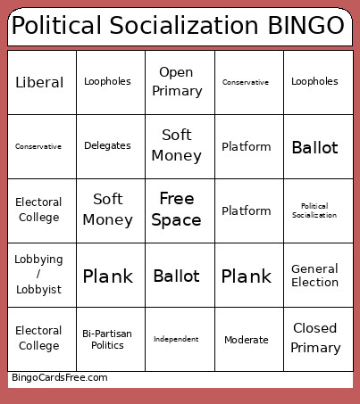 Political Socialization Vocab Bingo Card