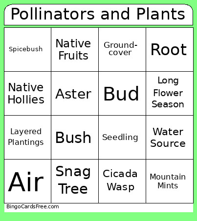 Pollinators And Plants Bingo Card