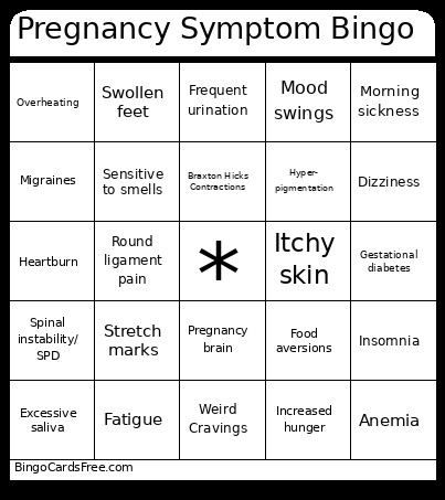 Pregnancy Symptom Bingo Card