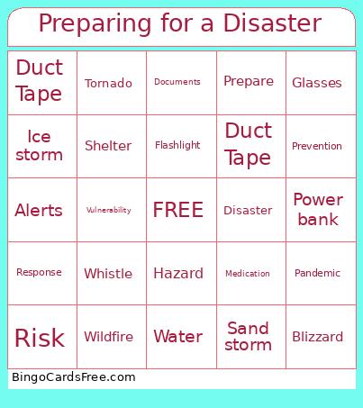 Preparing For A Disaster Bingo Card