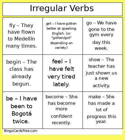 Present Perfect Bingo Card