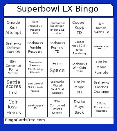 Princeville Superbowl Party Bingo Card