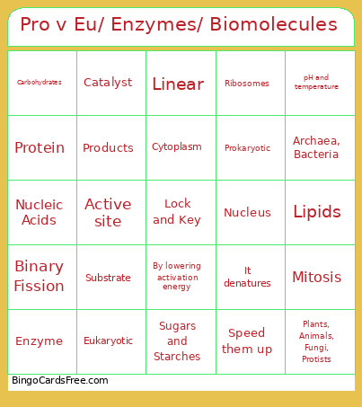 Pro V Eu/ Enzymes/ Biomolecules Bingo Card