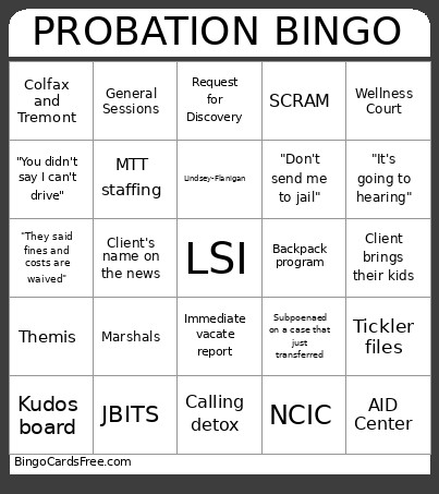 Probation Bingo Card