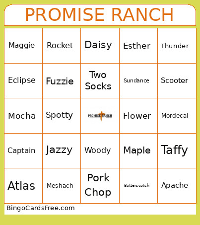 Promise Ranch Bingo Card