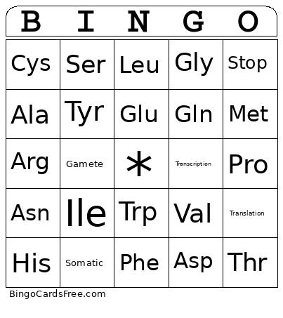 Protein Synthesis Bingo Card