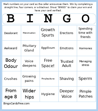 Puberty Bingo Card