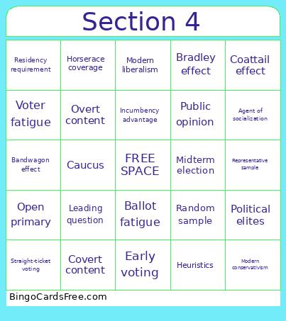 Public Opinion and Voting & Elections Bingo