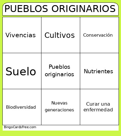 Pueblos Originarios Bingo Card