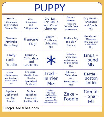 Puppybowl2025 Bingo Card
