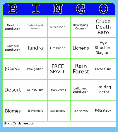 Q3 Vocab Review Bingo Card