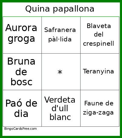 Quina Papallona Bingo Card 2