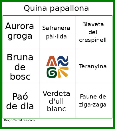 Quina Papallona Bingo Card