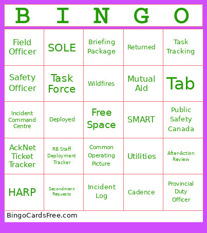 R-209 Bingo Card