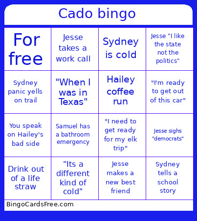 Rado Bingo Card