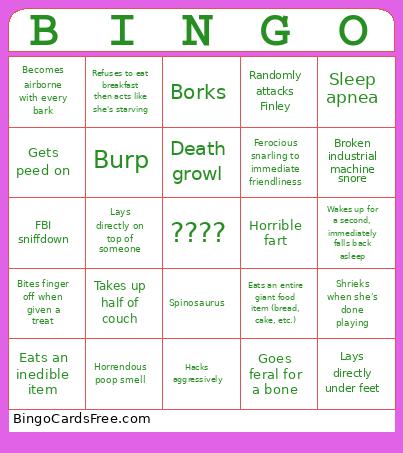 Raven Bingo Card