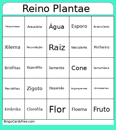Reino Plantae Bingo Card