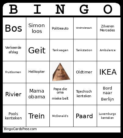 Reis Bingo Card