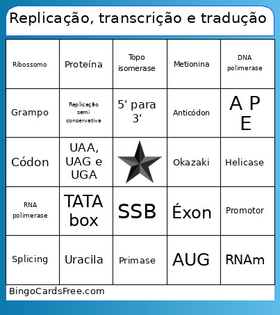 Replicação, Transcrição E Tradução Bingo Card