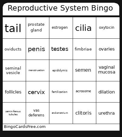 Reproductive System Bingo Card