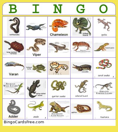 Reptle Bingo