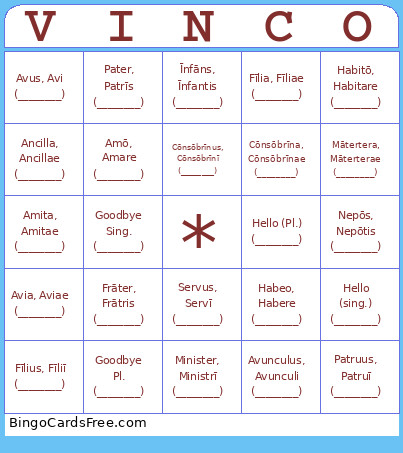 Res Familiares Bingo Card