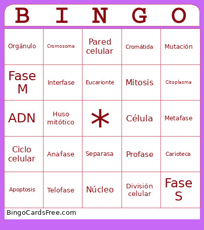 Revolución Celular Bingo Card
