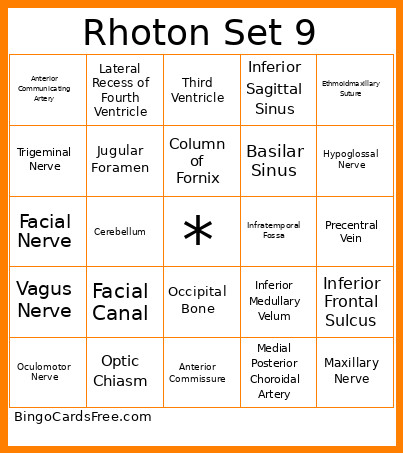 Rhoton Top 100 Set 9 Bingo Card