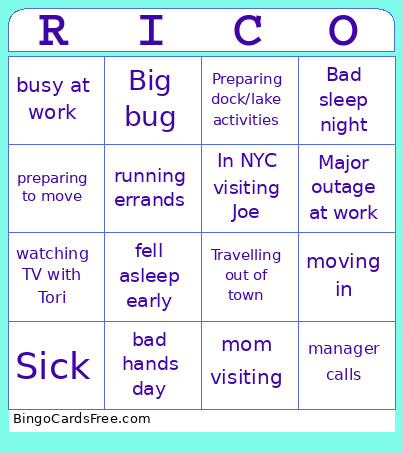 Rico Excuses Bingo Card