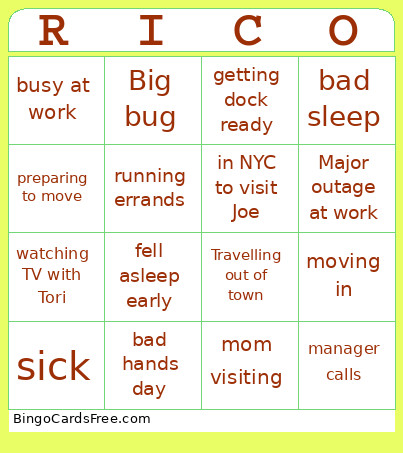 Rico Excuses Bingo Card