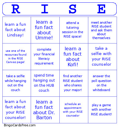 RISE Bingo Card