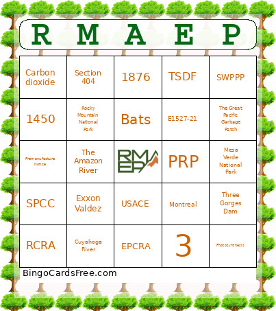 RMAEP Bingo Card