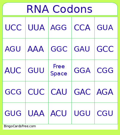 RNA Codons Bingo Card