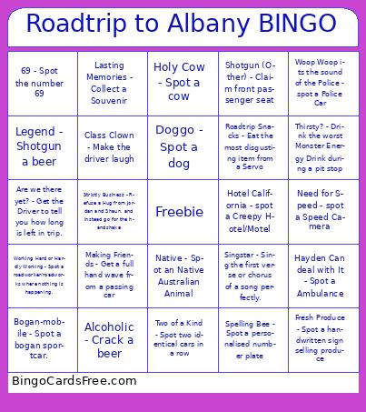 Roadtrip to Albany BINGO
