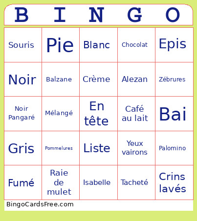 Robes Et Marques Naturelles Bingo Card