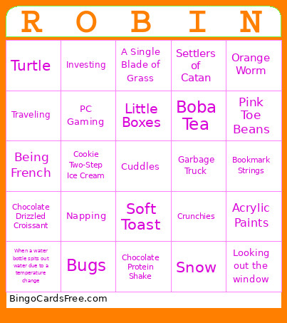 Robin's 10th Birthday Bingo Card