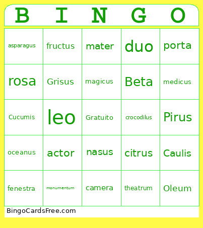 Romeinen Bingo Card