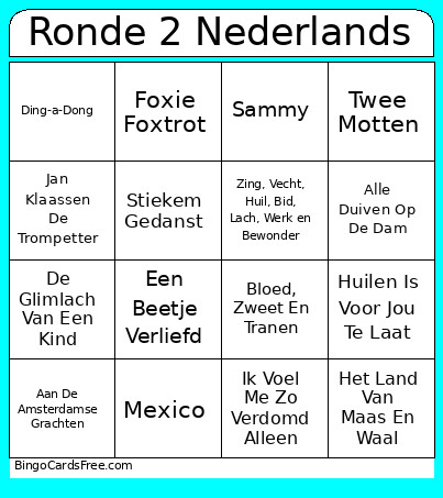 Ronde 2 Nederlands Bingo Card