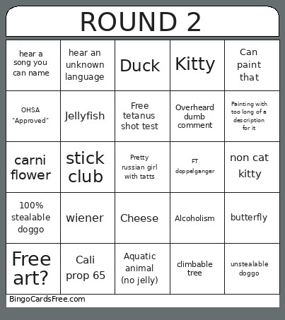 ROUND 2 Bingo Card