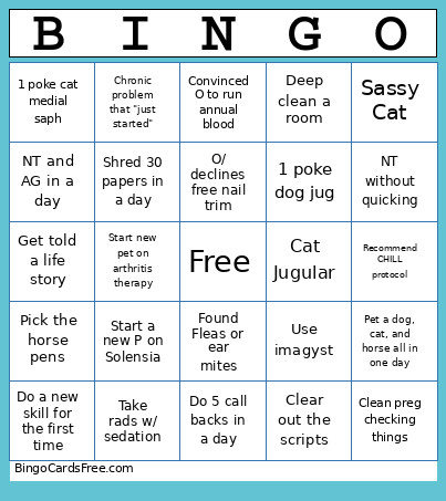 RVT Bingo Card