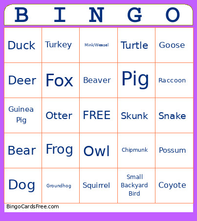 Ryan’s Wildlife Bingo Card