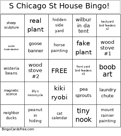 S Chicago St House ! Bingo Card