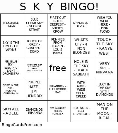 S K Y ! Bingo Card